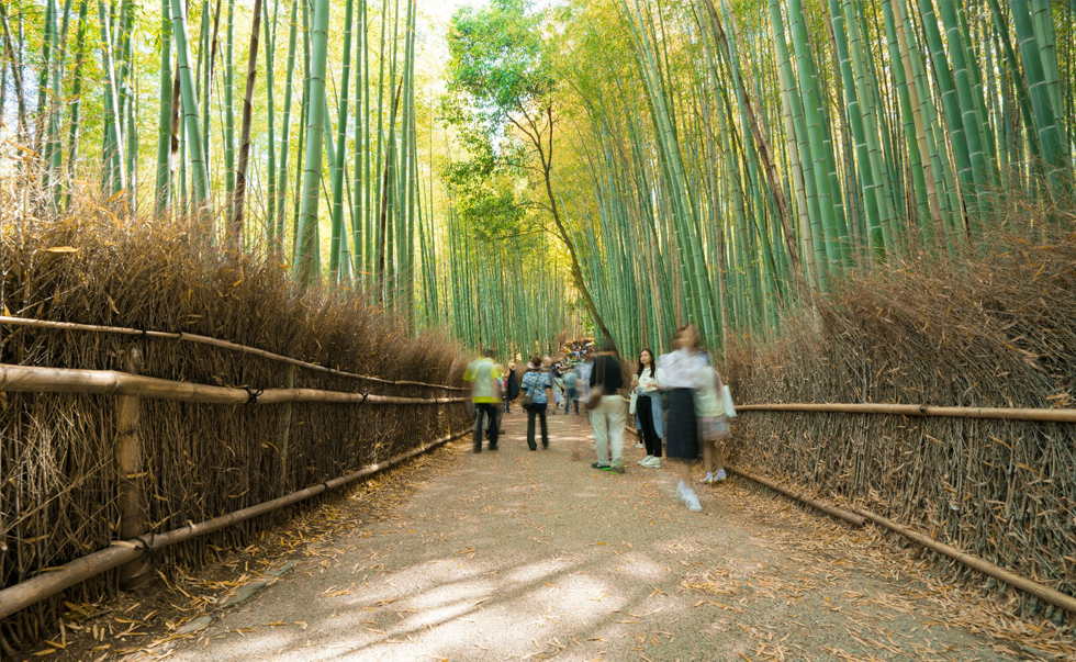 嵯峨野竹林小径