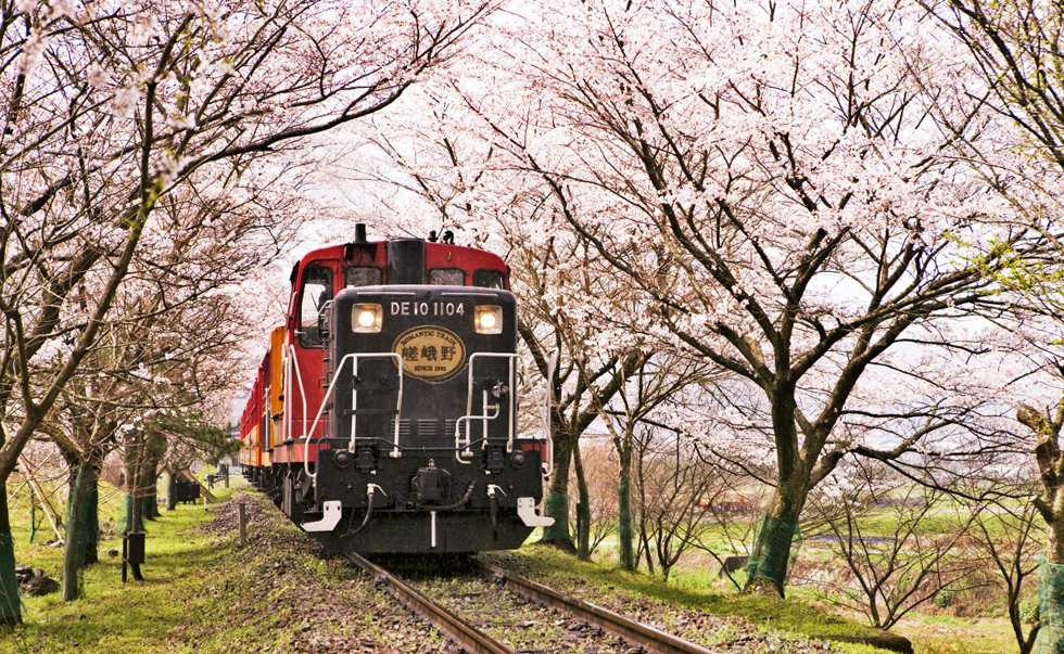 嵯峨野小火车