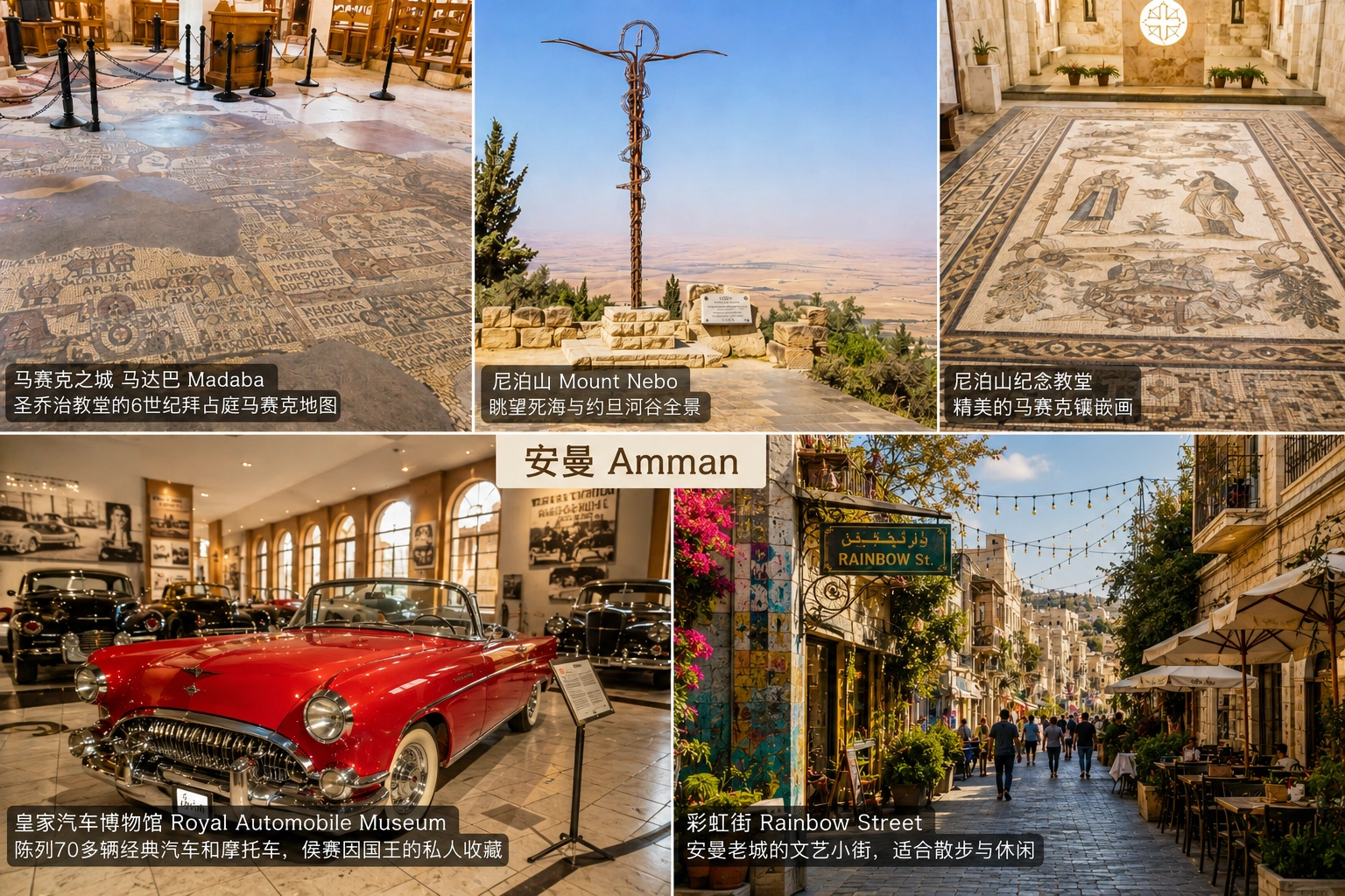 1783643164939134.webp 图片5.webp