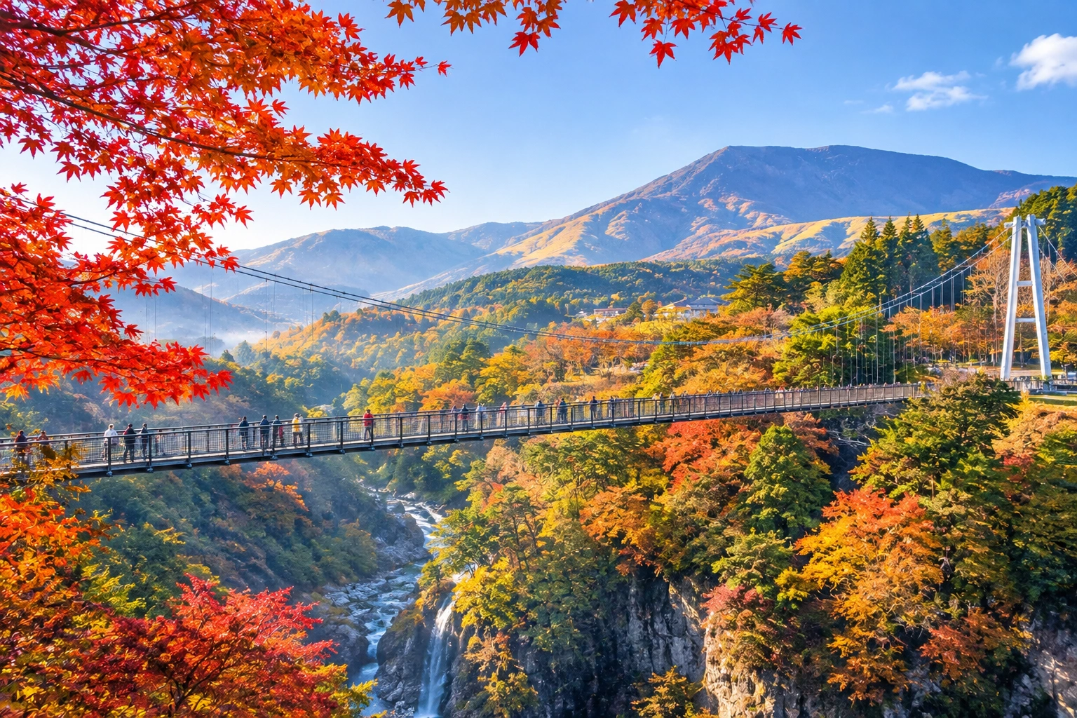 1785980037616395.webp 九重梦吊桥场.webp