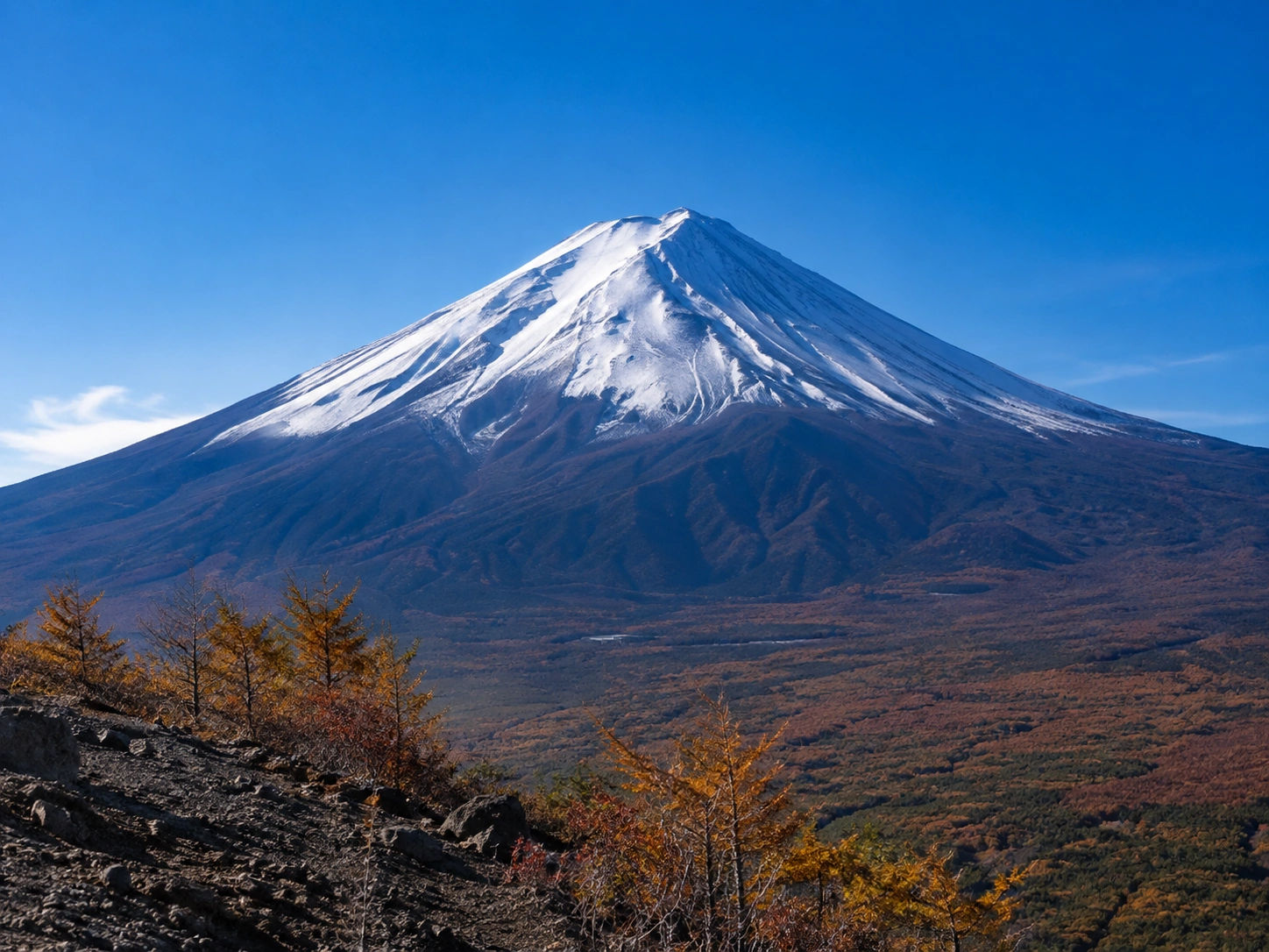 1786175913308987.webp 富士山五合目.webp