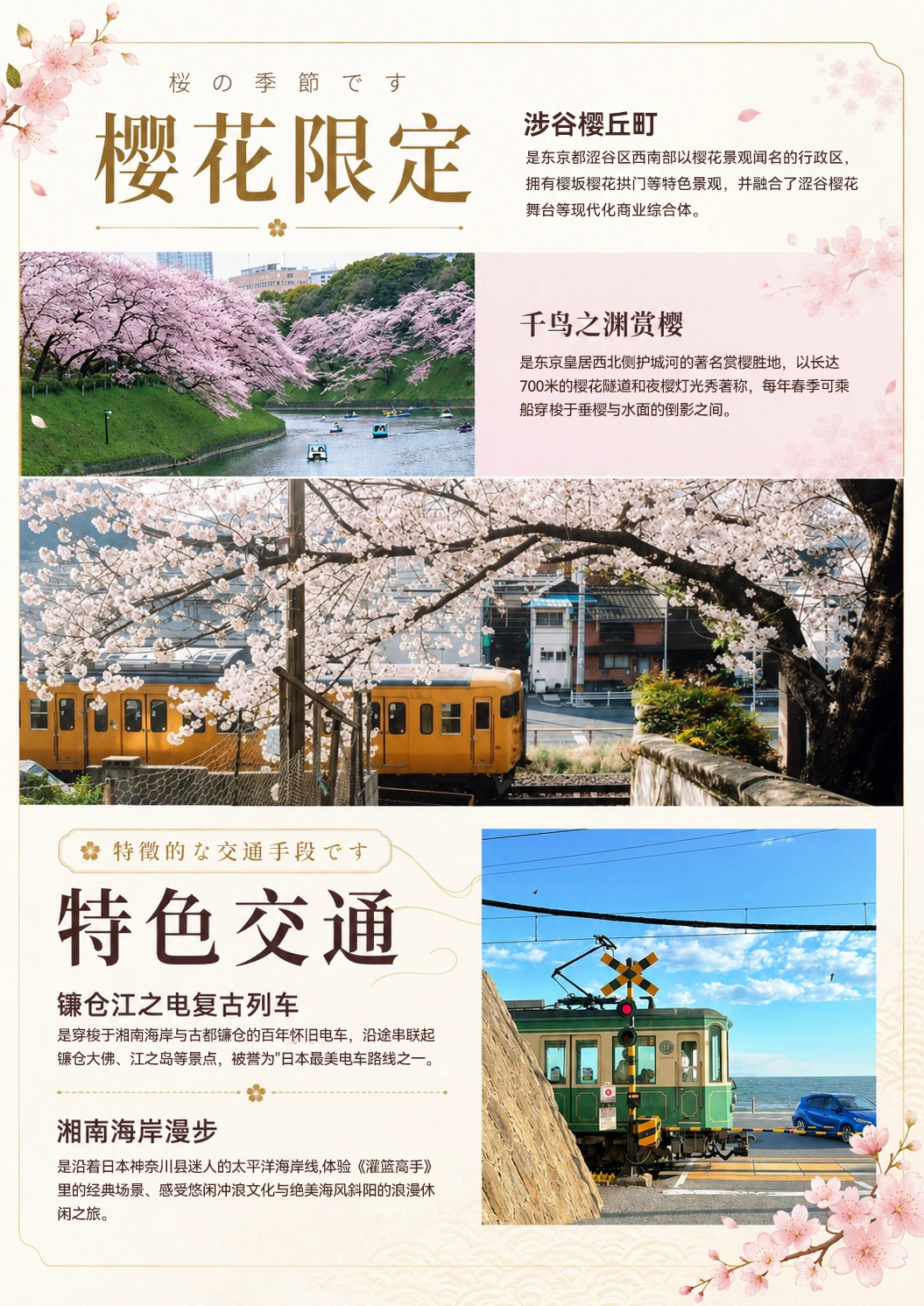 1787129568864075.webp